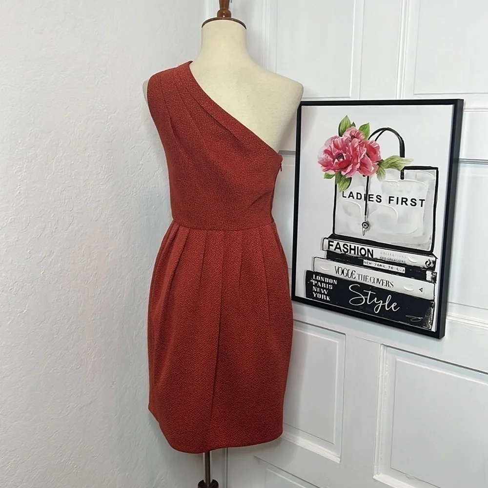 Halston Heritage One Shoulder Jacquard Mini Dress in Brick Size 2